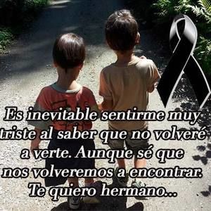 Meet your Posher, Jancarlos fernando